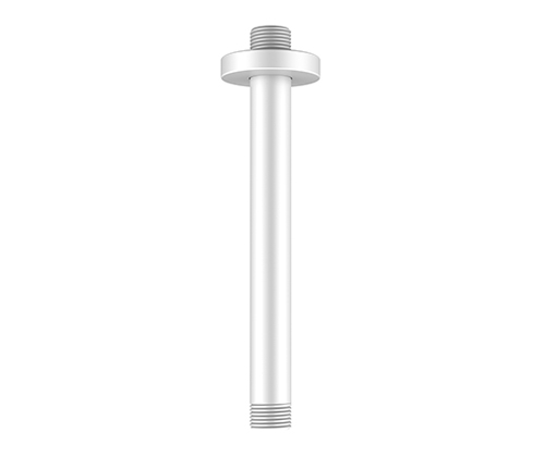 A233 Ceiling-mounted shower arm