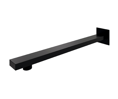 A219 Wall-mounted shower arm