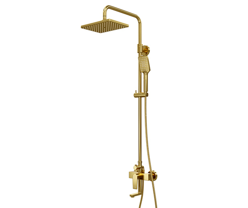 A15501 Shower system