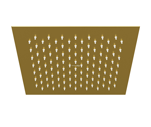 A198 Shower head