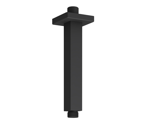 A152 Ceiling-mounted shower arm