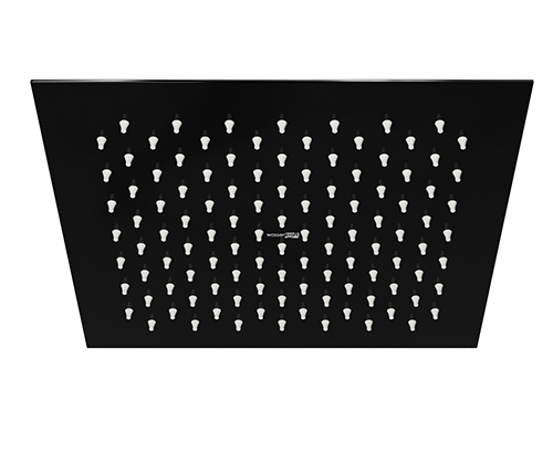 A199 Shower head