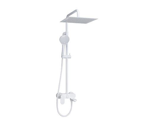 A185.163.155.WM Shower system
