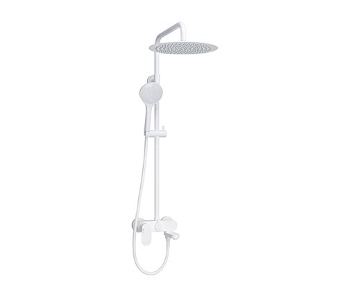 A185.161.155.WM Shower system
