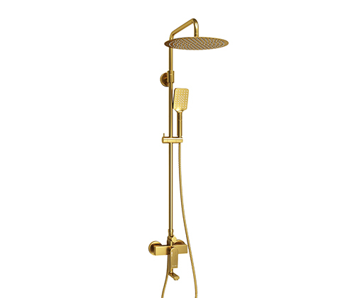 A155.262.201.BG Shower system
