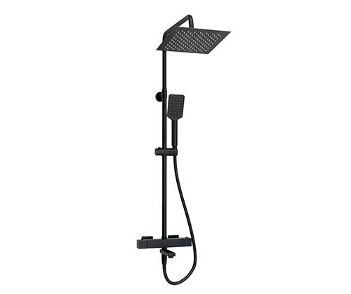 A299.255.130.BM Thermo Shower system